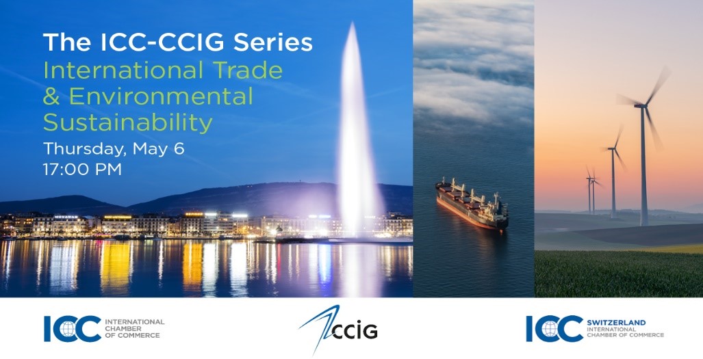 icc ccig